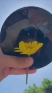 Obsidian Scrying Mirror - Unlock Your Inner Vision